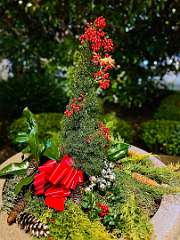 250: Xue-MingBao_2025-93