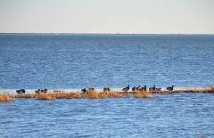 12: Xue-MingBao_2026-1