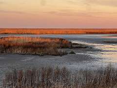 162: Xue-MingBao_2026-5