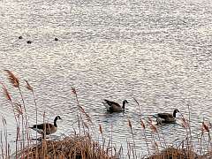 189: Xue-MingBao_2026-6