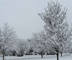 120: jenCurcione_2025-69