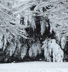 121: jenCurcione_2025-70