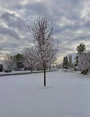 123: jenCurcione_2025-72