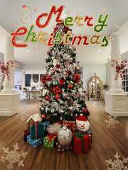 199: wendyTao_2025-81