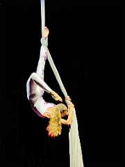 204: wendyTao_2025-86