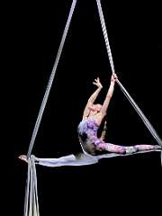 205: wendyTao_2025-87