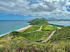 214: wendyTao_2025-96