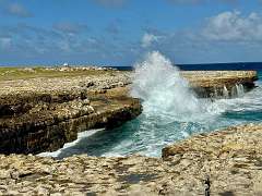 215: wendyTao_2025-97