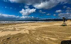 50: AlanToplitz_2026-29