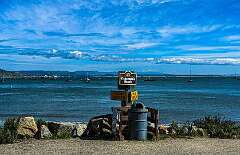 79: AlanToplitz_2026-32