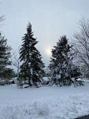 55: BerniceBaline_2026-35