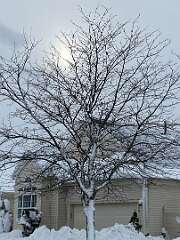 161: BerniceBaline_2026-37