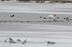 151: DonManfria_2026-42