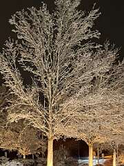 114: KerryKennedy_2026-3