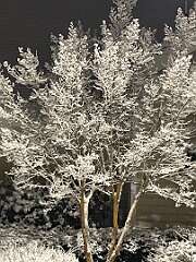 116: KerryKennedy_2026-4