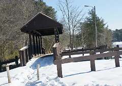 4: MargoPepin_2026-1