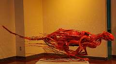 30: MarkShelly_2026-28