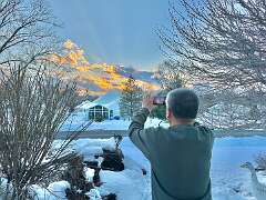 137: WendyTao_2026-15