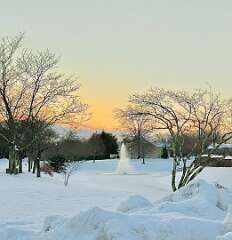 142: WendyTao_2026-16