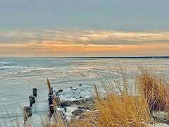 32: WendyTao_2026-23