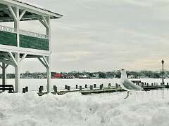 147: WendyTao_2026-27