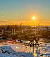 2: Xue-MingBao_2026-16