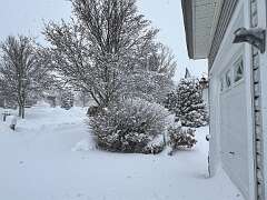 39: Xue-MingBao_2026-37