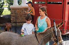 36: Family Palooza-5021