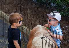 120: Family Palooza-5325