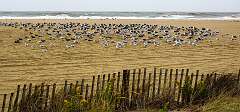 28: NorEaster_2025-16