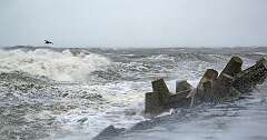 10: NorEaster_2025-26