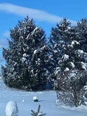 29: BerniceBailine_2025-58