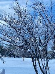 66: BerniceBailine_2025-59