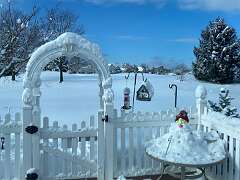 25: BerniceBailine_2025-61