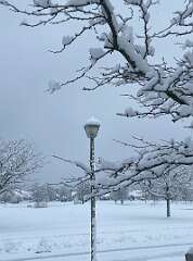 36: BerniceBailine_2025-63