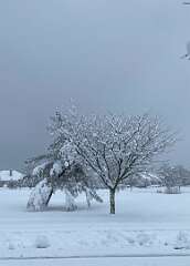 75: BerniceBailine_2025-64