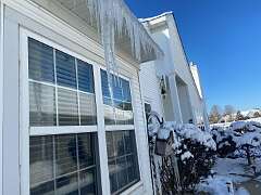 55: BerniceBailine_2025-70