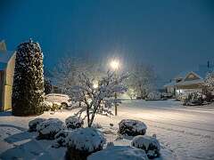 56: BillKirms_2025-360