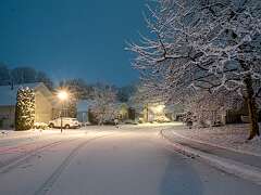 49: BillKirms_2025-361