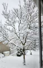 26: CeciliaRomano_2025-11