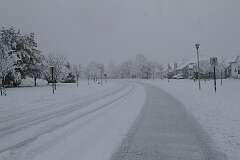 28: DonManfria_2025-307