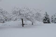 17: DonManfria_2025-313