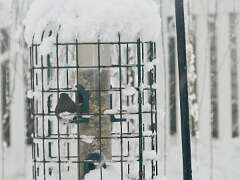 54: MikeGlass_2025-60