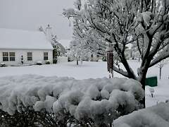 71: MikeGlass_2025-66