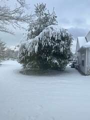 9: TomGeorgio_2025-17