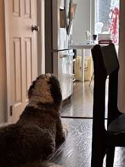 51: TomGeorgio_2025-18