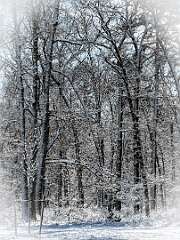 16: AlanToplitz_2026-8