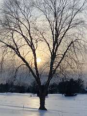 14: BerniceBaline_2026-25