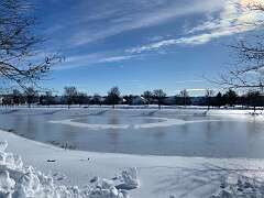 40: BerniceBaline_2026-30