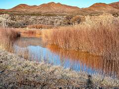 111: BillKirms_2026-54